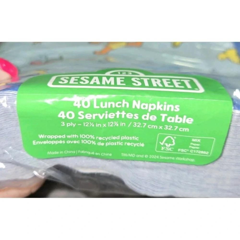 SESAME STREET Pool Party 40 Lunch Napkins 3 Ply -12 7/8